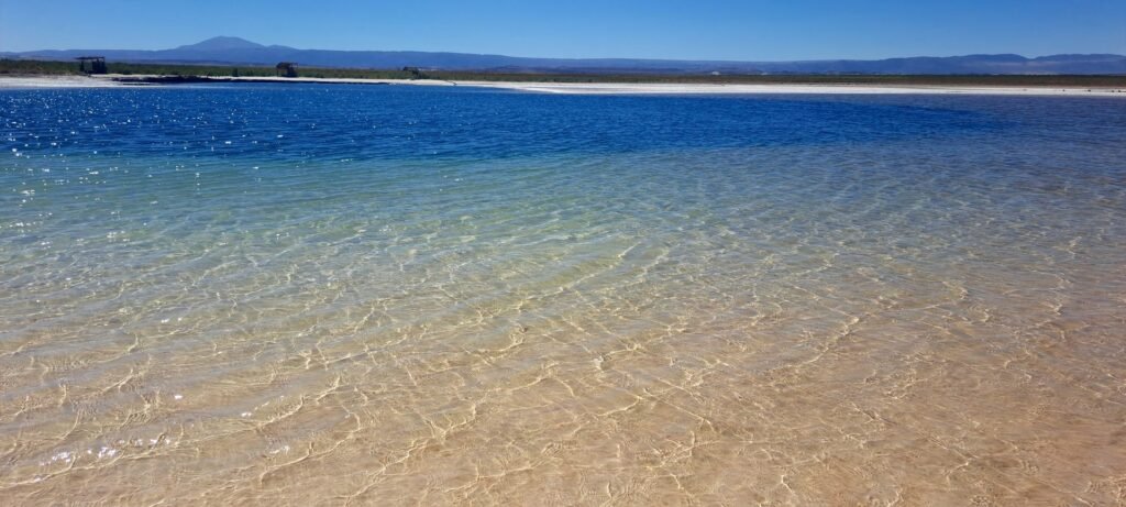 Laguna cejar
