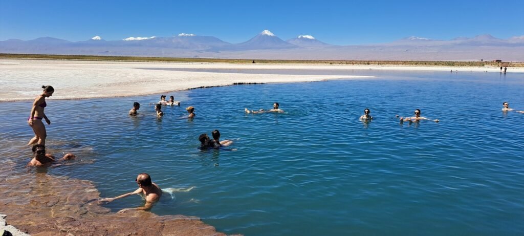 Laguna Cejar